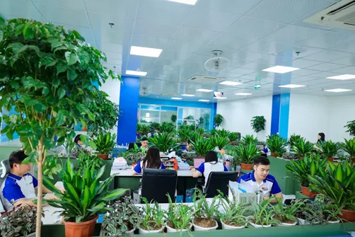 Soát xét tài liệu và hồ sơ quyết toán dự án